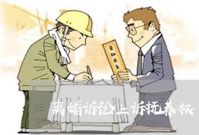 离婚诉讼上诉抚养权