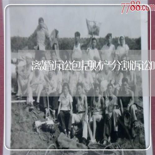离婚诉讼包括财产分割诉讼吗