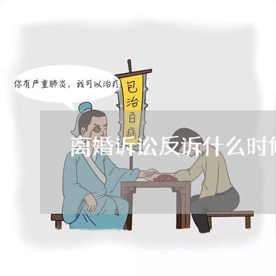 离婚诉讼反诉什么时候提出