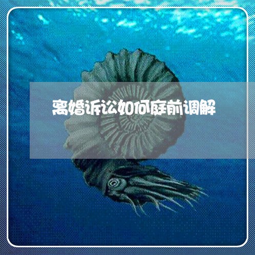 离婚诉讼如何庭前调解 离婚诉讼如何庭前调解