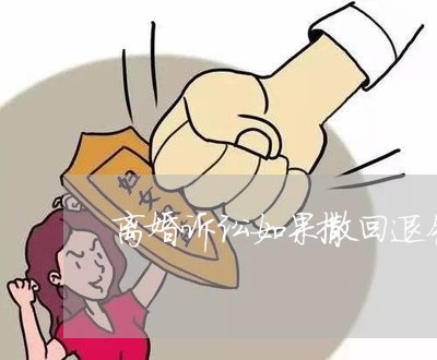 离婚诉讼如果撒回退钱吗