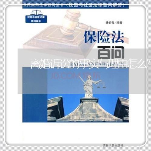 离婚诉讼的事实与理由怎么写好/2023061370582