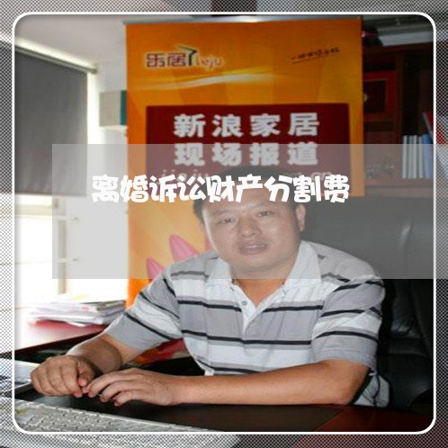 离婚诉讼财产分割费