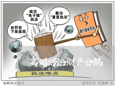 离婚诉讼财产分隔 离婚诉讼财产分隔