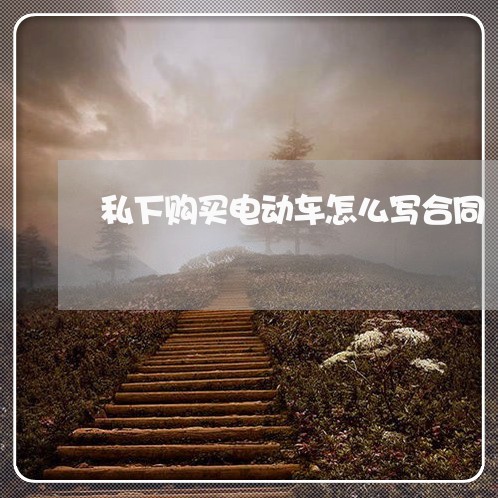 私下购买电动车怎么写合同/2023041305604