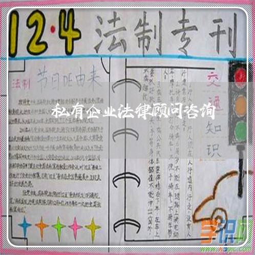 私有企业法律顾问咨询/2023061835139 私有企业法律顾问咨询/2023061835139