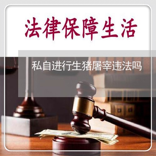 私自进行生猪屠宰违法吗