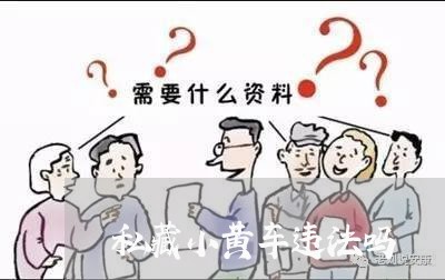 私藏小黄车违法吗 私藏小黄车违法吗