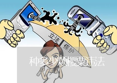 种多少颗樱粟违法