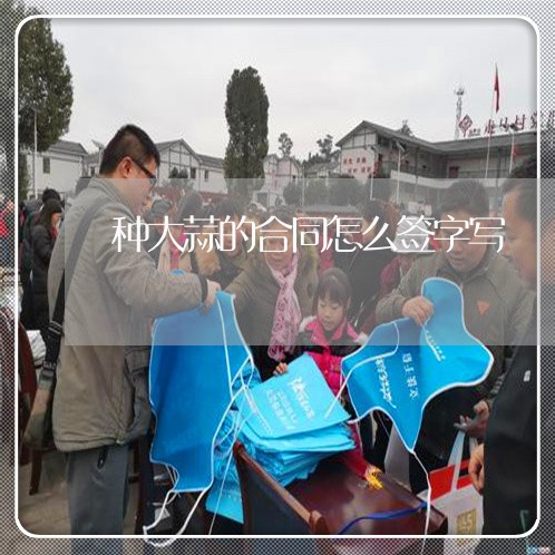 种大蒜的合同怎么签字写/2023022618178