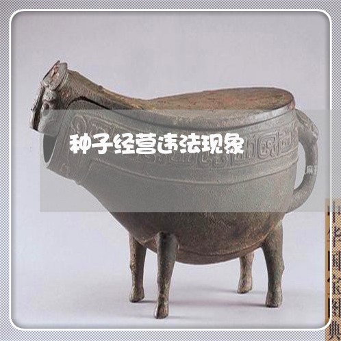 种子经营违法现象