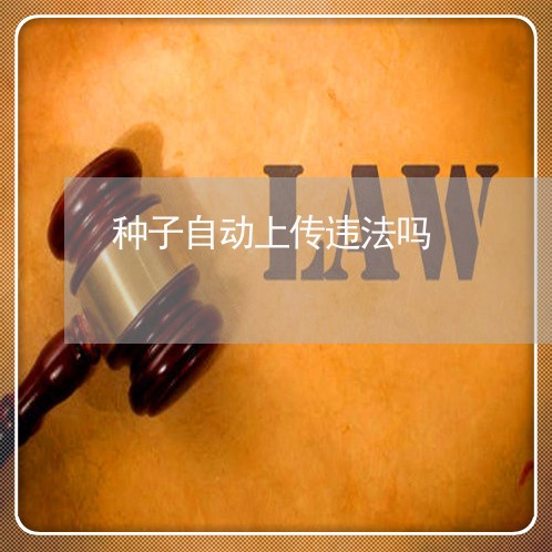 种子自动上传违法吗