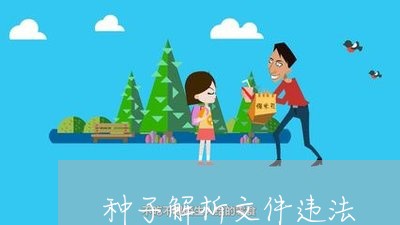 种子解析文件违法