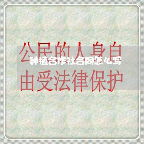 种植合作社合同怎么写/2023011739583 种植合作社合同怎么写/2023011739583