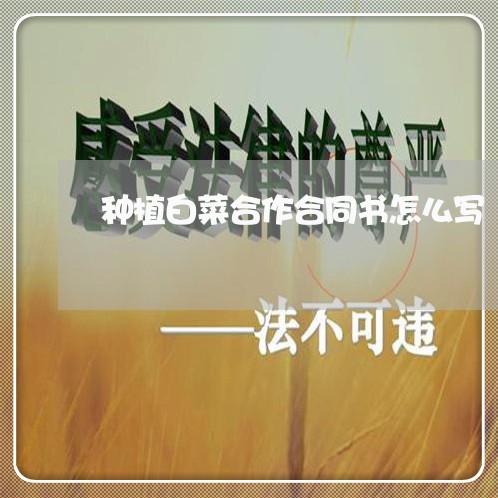 种植白菜合作合同书怎么写/2023042347270