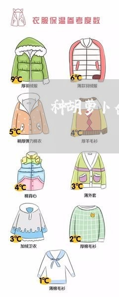 种胡萝卜合同怎么写 种胡萝卜合同怎么写