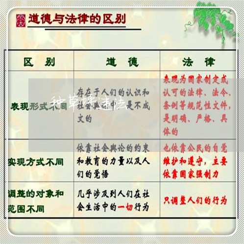 种草坪违法 种草坪违法