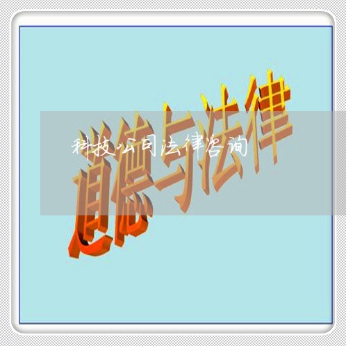 科技公司法律咨询