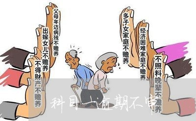 科目一逾期不审