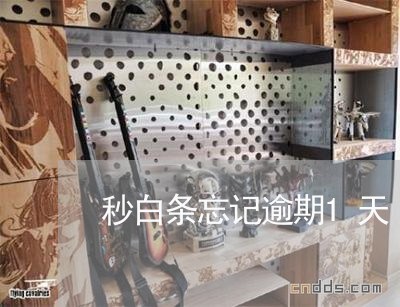 秒白条忘记逾期1天 秒白条忘记逾期1天