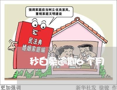 秒白条逾期6个月 秒白条逾期6个月