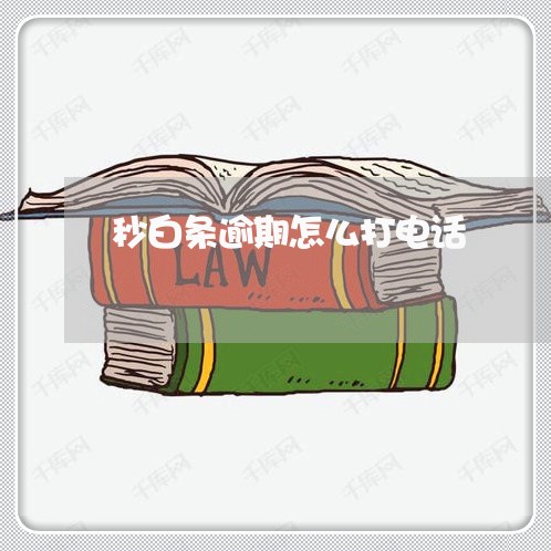 秒白条逾期怎么打电话 秒白条逾期怎么打电话