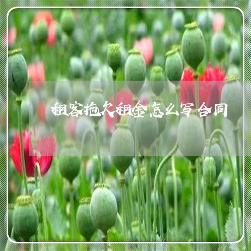 租客拖欠租金怎么写合同/2023011794836 租客拖欠租金怎么写合同/2023011794836
