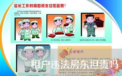 租户违法房东担责吗