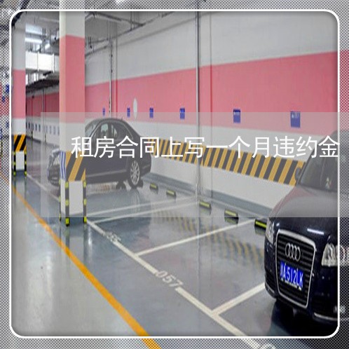 租房合同上写一个月违约金/2023061662825 租房合同上写一个月违约金/2023061662825