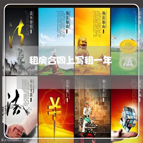 租房合同上写租一年/2023042382726