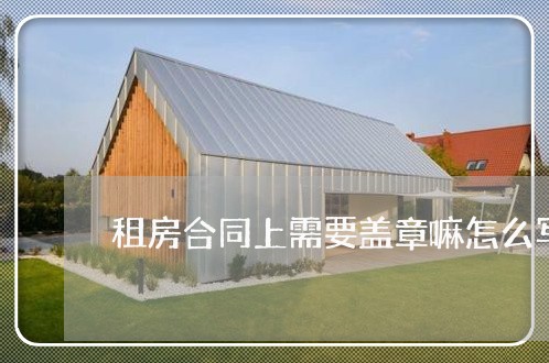 租房合同上需要盖章嘛怎么写/2023041616836 租房合同上需要盖章嘛怎么写/2023041616836