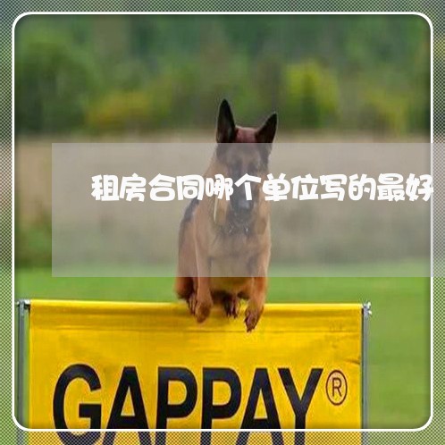 租房合同哪个单位写的最好/2023022603840 租房合同哪个单位写的最好/2023022603840