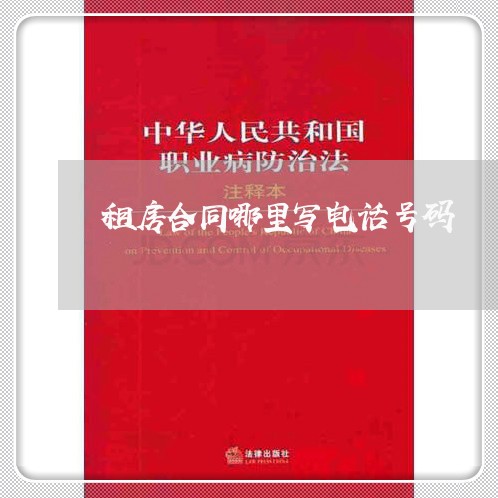 租房合同哪里写电话号码/2023040272683