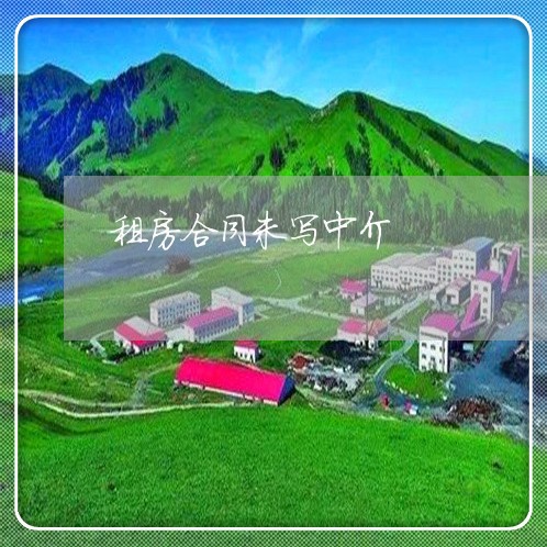租房合同未写中介