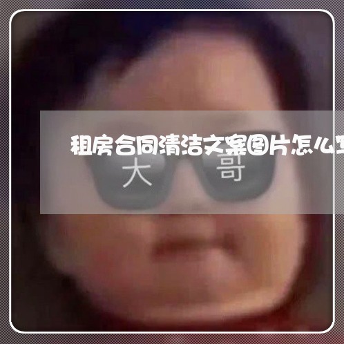 租房合同清洁文案图片怎么写/2023041185915 租房合同清洁文案图片怎么写/2023041185915