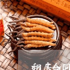 租房合同编号可以不写吗/2023041080505 租房合同编号可以不写吗/2023041080505