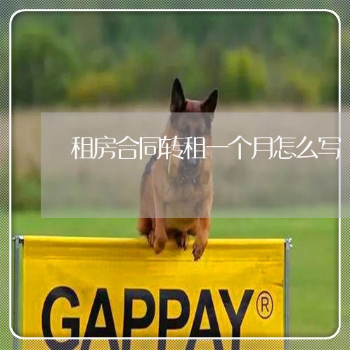 租房合同转租一个月怎么写/2023061684927