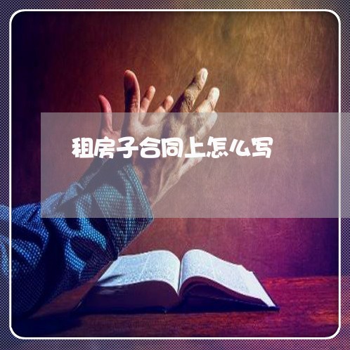 租房子合同上怎么写/2023041037481