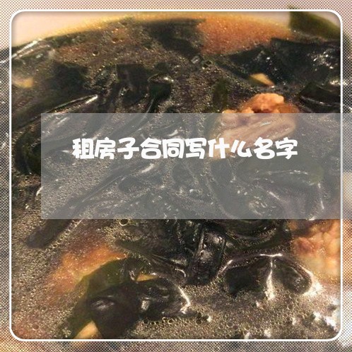 租房子合同写什么名字/2023041637360 租房子合同写什么名字/2023041637360