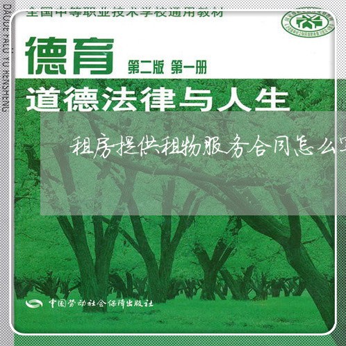租房提供租物服务合同怎么写/2023041680713