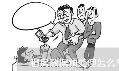 租房数据预处理怎么写合同/2023022668602