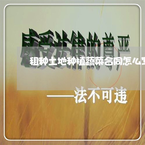 租种土地种植蔬菜合同怎么写/2023041474967 租种土地种植蔬菜合同怎么写/2023041474967