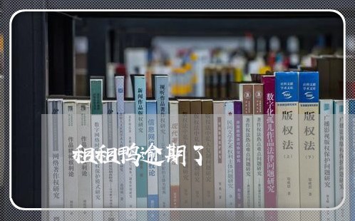 租租鸭逾期了