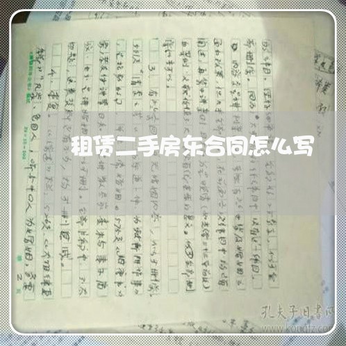 租赁二手房东合同怎么写/2023060368482