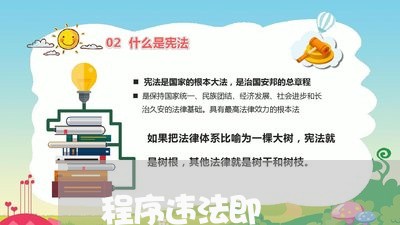 程序违法即
