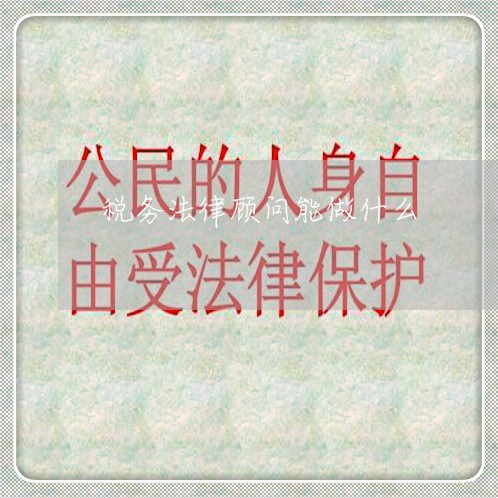 税务法律顾问能做什么/2023061802805