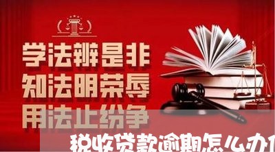 税收贷款逾期怎么办信用卡/2023042306947