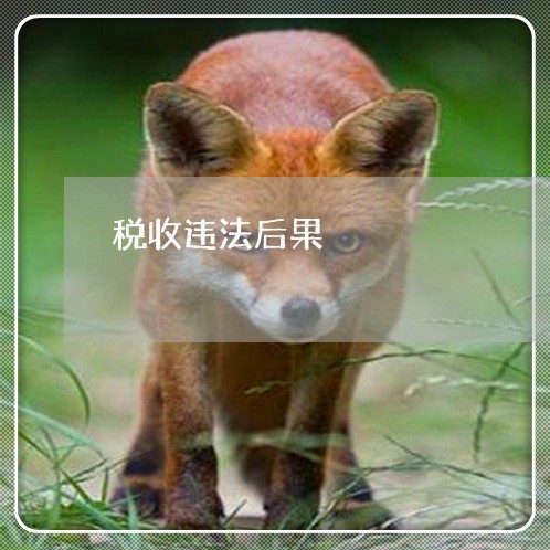 税收违法后果