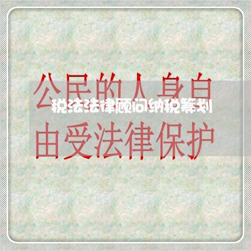 税法法律顾问纳税筹划 税法法律顾问纳税筹划