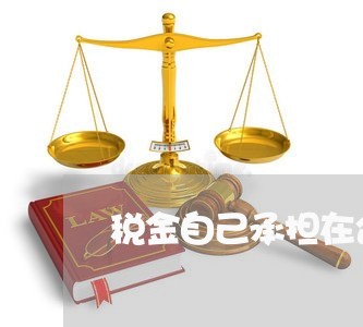税金自己承担在合同怎么写/2023022624937